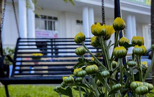 Chúc mừng lớp EE17A1 đạt giải Nhất cuộc thi ảnh "Nét đẹp Đà Nẵng" tại ĐH Đông Á