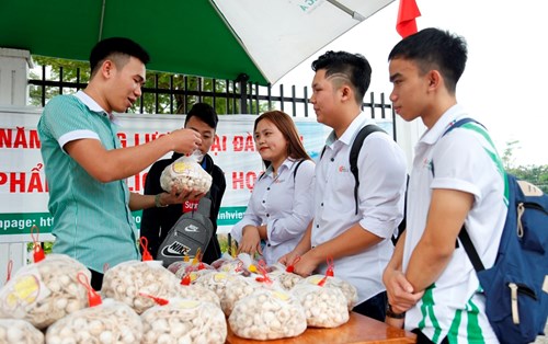 Đại học Đông Á hỗ trợ tiêu thụ hành, tỏi cho bà con nông dân Lý Sơn